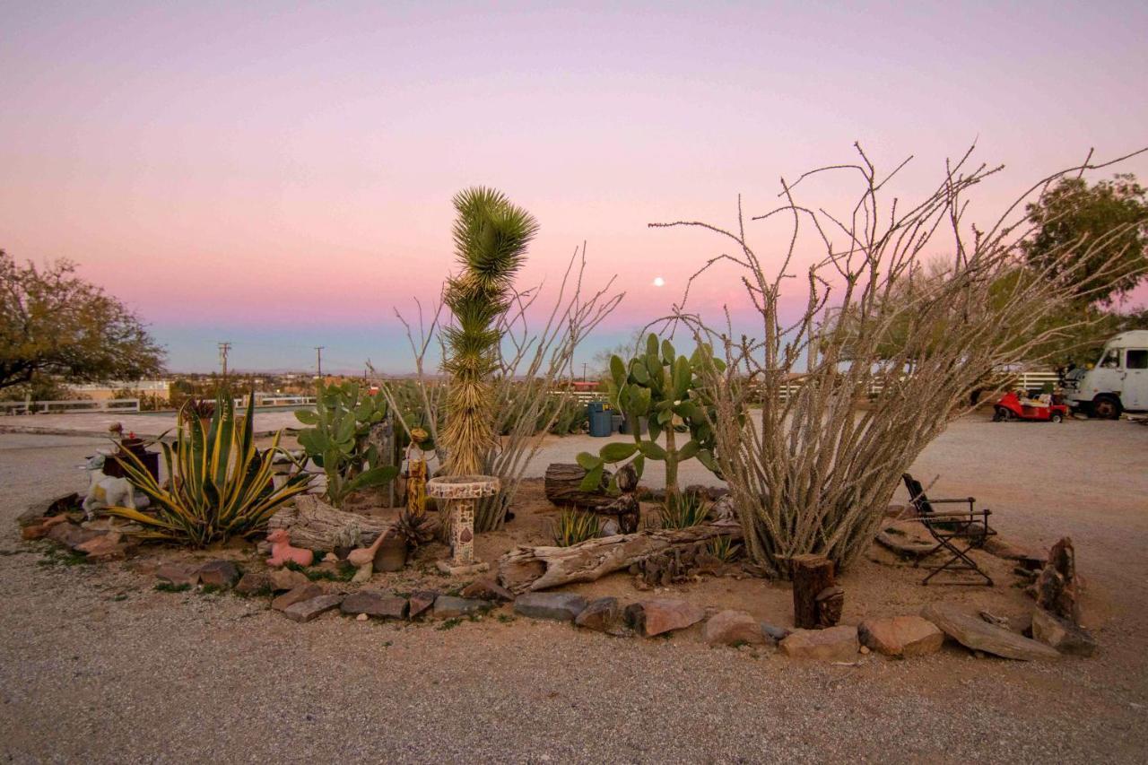 Joshua Tree Ranch House汽车旅馆 外观 照片