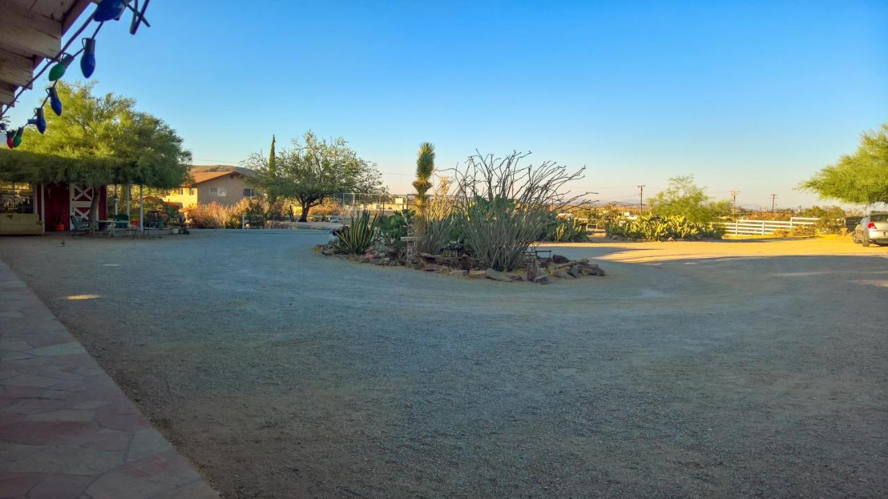 Joshua Tree Ranch House汽车旅馆 外观 照片